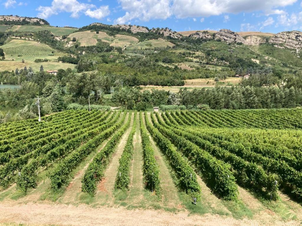 Ca' Vanello Borgo Tossignano 外观 照片